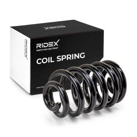 Ridex 188C0166 Coil Spring, photo 2