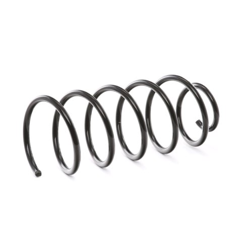 Ridex 188C0169 Coil Spring