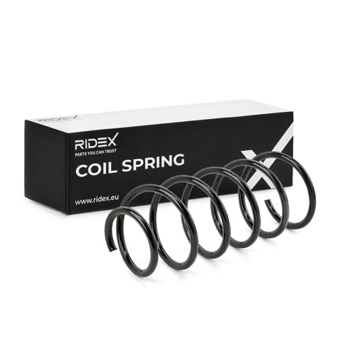 Ridex 188C0169 Coil Spring, photo 2