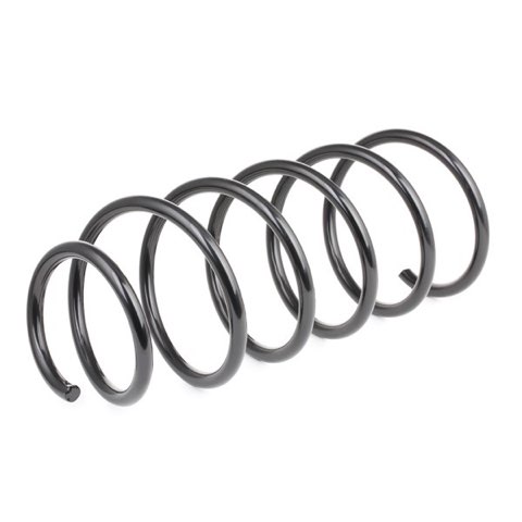 Ridex 188C0169 Coil Spring, photo 3