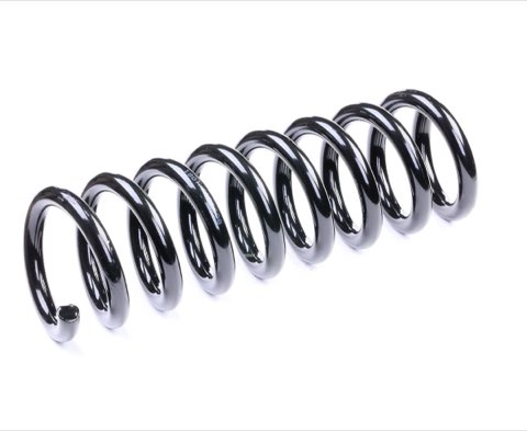Ridex 188C0170 Coil Spring