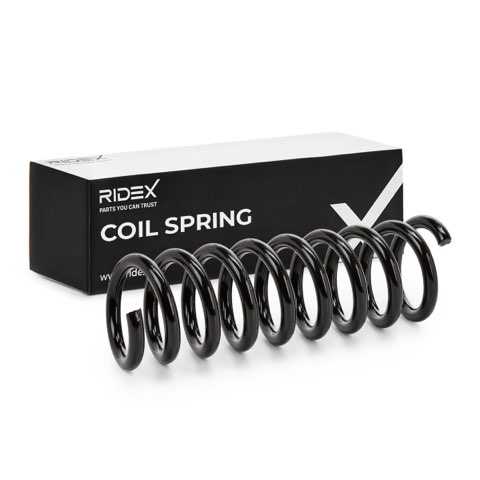 Ridex 188C0170 Coil Spring, photo 2