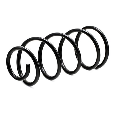 Ridex 188C0175 Coil Spring, photo 3