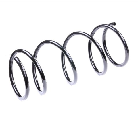 Ridex 188C0189 Coil Spring