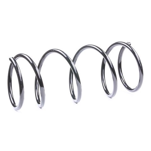 Ridex 188C0189 Coil Spring, photo 3