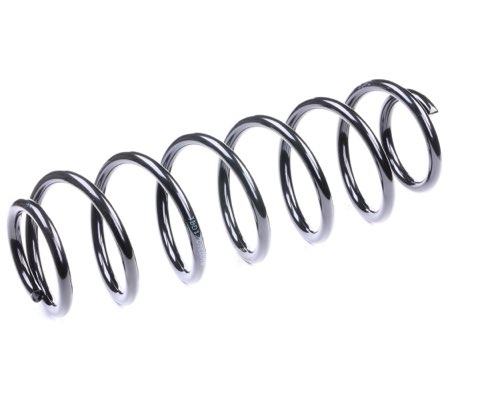 Ridex 188C0190 Coil Spring