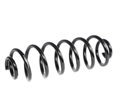 Ridex 188C0191 Coil Spring
