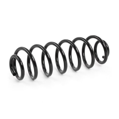 Ridex 188C0191 Coil Spring, photo 3