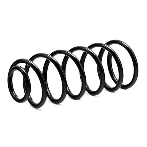 Ridex 188C0197 Coil Spring, photo 2