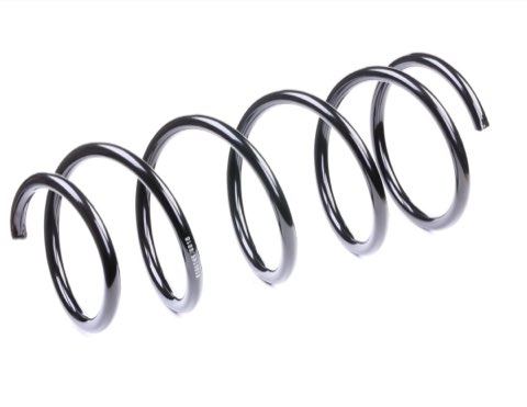 Ridex 188C0198 Coil Spring