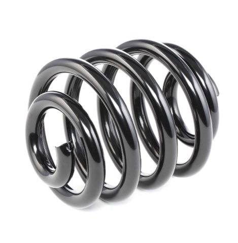 Ridex 188C0199 Coil Spring