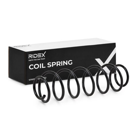 Ridex 188C0203 Coil Spring, photo 2