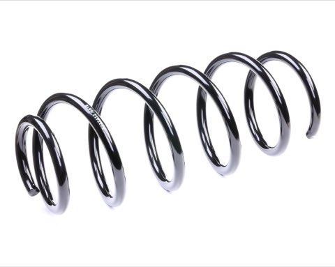 Ridex 188C0204 Coil Spring
