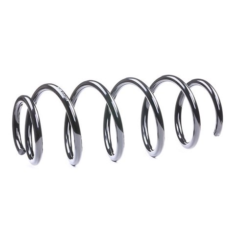 Ridex 188C0204 Coil Spring, photo 3