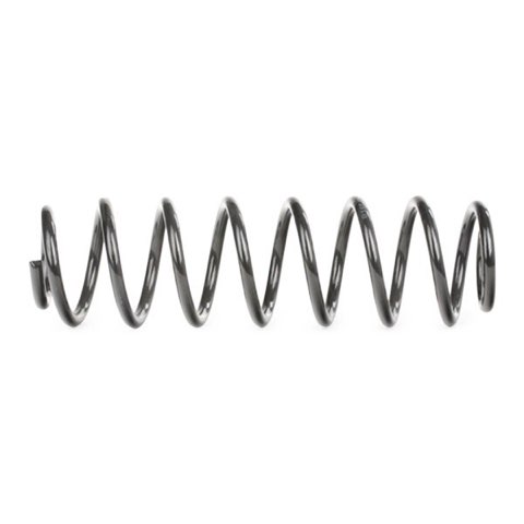 Ridex 188C0205 Coil Spring, photo 3