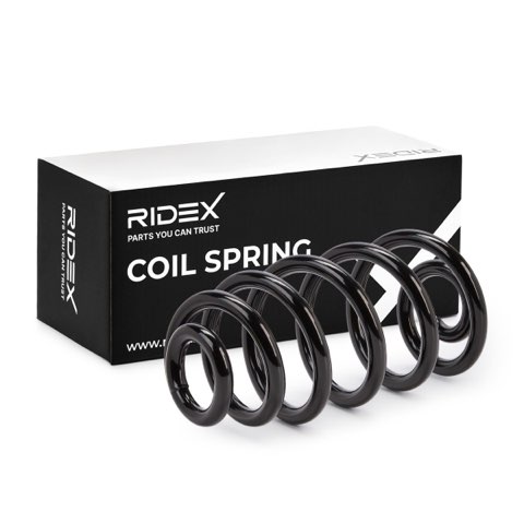 Ridex 188C0210 Coil Spring, photo 2