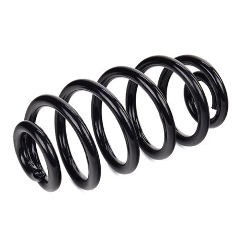 Ridex 188C0210 Coil Spring, photo 3