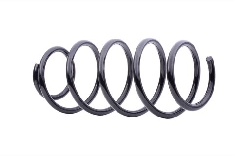 Ridex 188C0211 Coil Spring