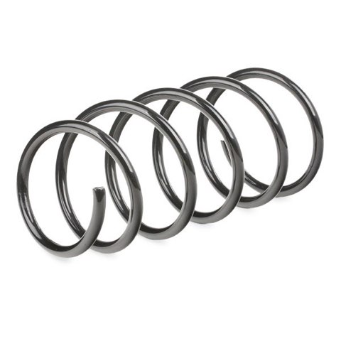 Ridex 188C0211 Coil Spring, photo 3