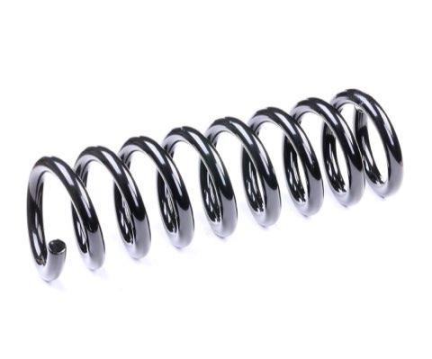 Ridex 188C0212 Coil Spring
