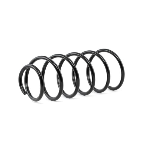 Ridex 188C0216 Coil Spring