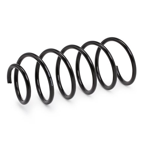 Ridex 188C0216 Coil Spring, photo 3