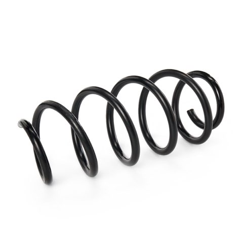 Ridex 188C0217 Coil Spring, photo 2