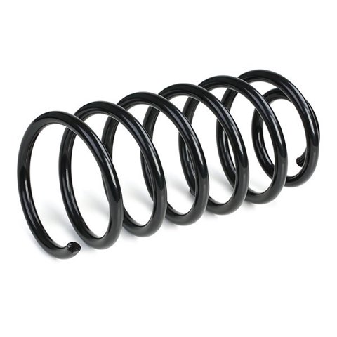 Ridex 188C0219 Coil Spring, photo 3