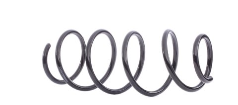 Ridex 188C0225 Coil Spring