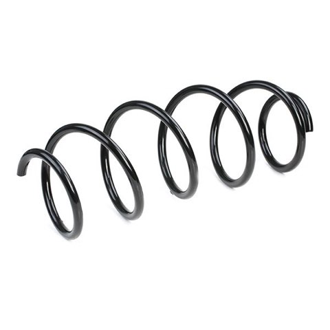 Ridex 188C0225 Coil Spring, photo 3