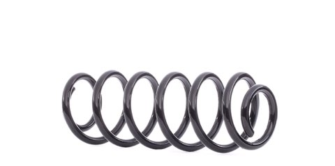 Ridex 188C0227 Coil Spring