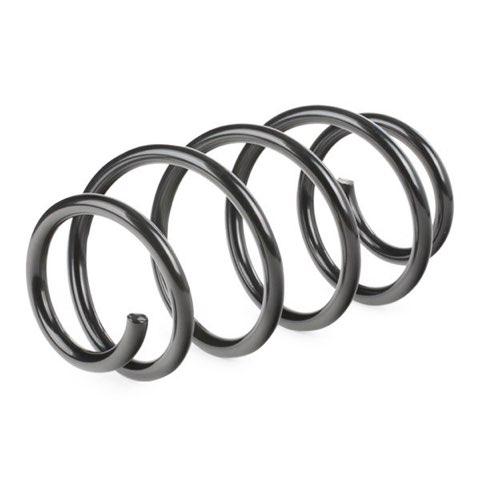 Ridex 188C0242 Coil Spring, photo 2