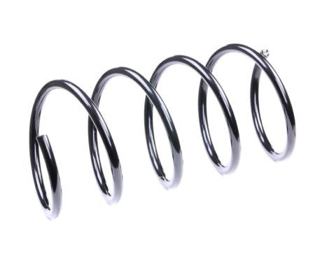 Ridex 188C0244 Coil Spring