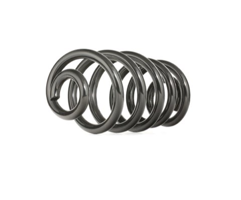 Ridex 188C0246 Coil Spring