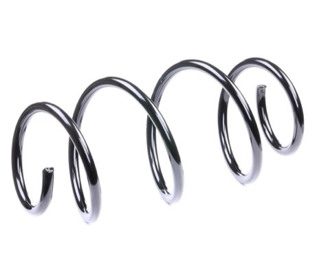 Ridex 188C0251 Coil Spring