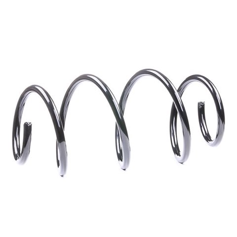 Ridex 188C0251 Coil Spring, photo 3