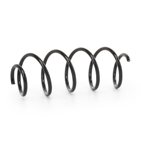 Ridex 188C0258 Coil Spring, photo 2