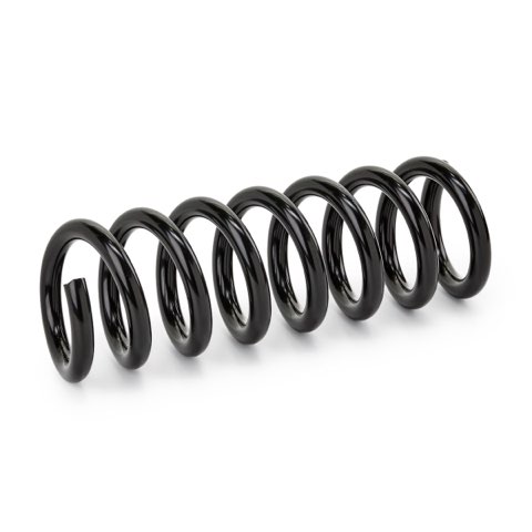 Ridex 188C0261 Coil Spring, photo 2