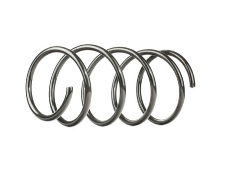 Ridex 188C0267 Coil Spring