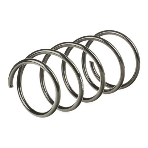 Ridex 188C0267 Coil Spring, photo 3