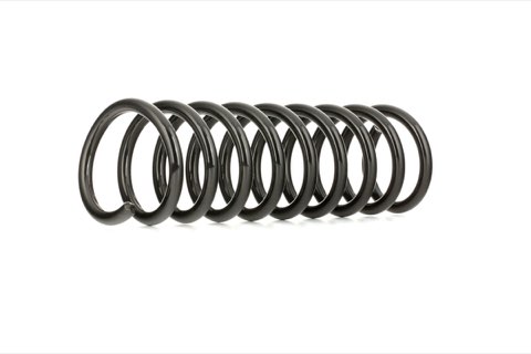 Ridex 188C0275 Coil Spring
