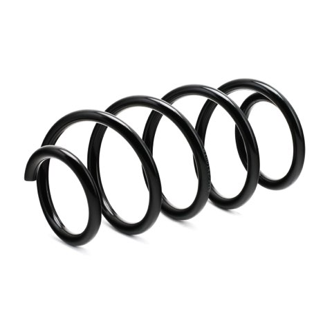 Ridex 188C0276 Coil Spring