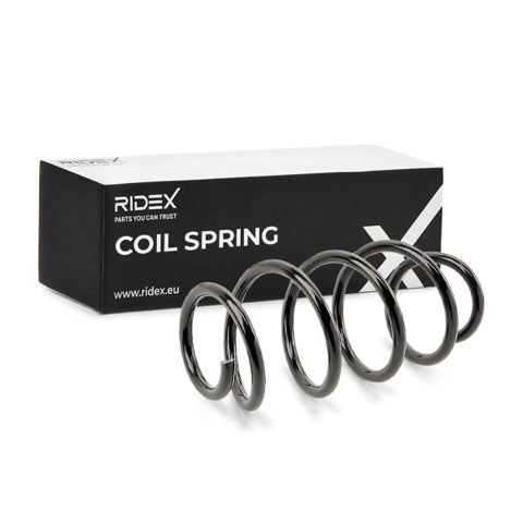 Ridex 188C0276 Coil Spring, photo 2