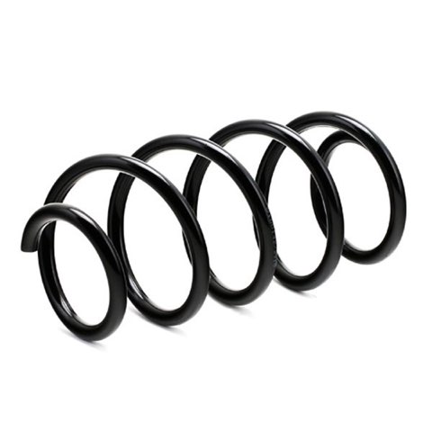 Ridex 188C0276 Coil Spring, photo 3