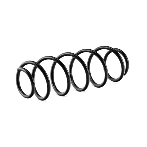 Ridex 188C0278 Coil Spring