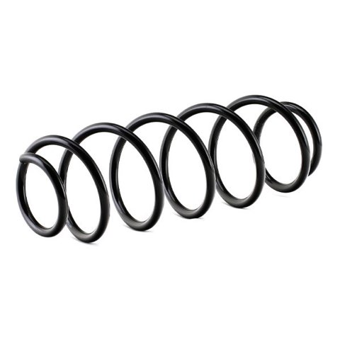 Ridex 188C0278 Coil Spring, photo 3