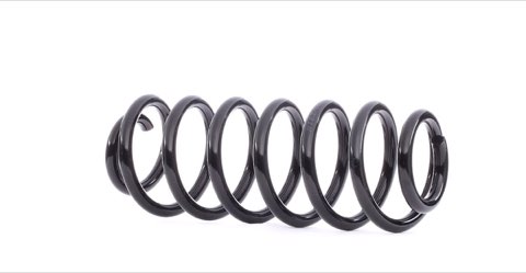 Ridex 188C0279 Coil Spring