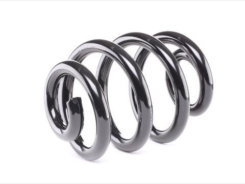 Ridex 188C0281 Coil Spring
