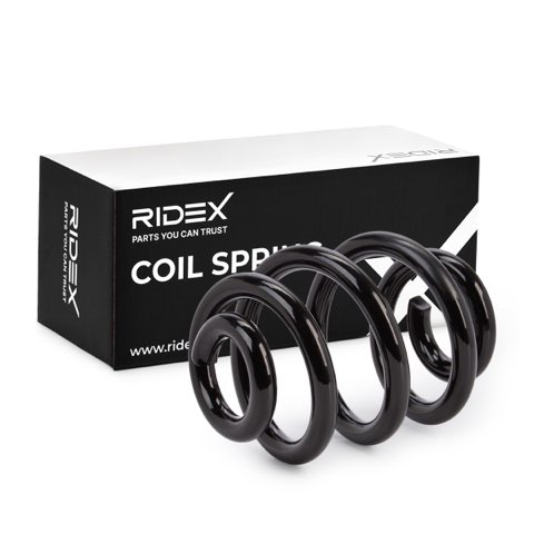 Ridex 188C0281 Coil Spring, photo 2