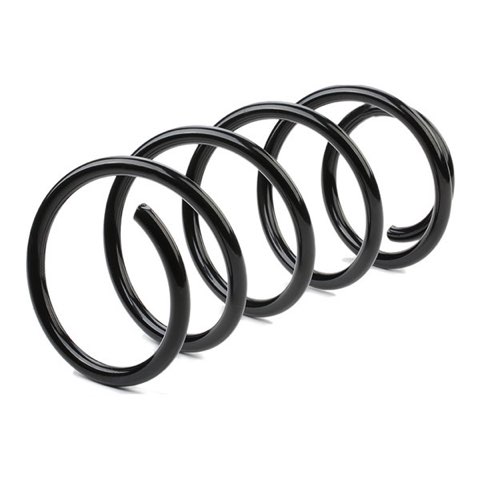 Ridex 188C0287 Coil Spring, photo 3